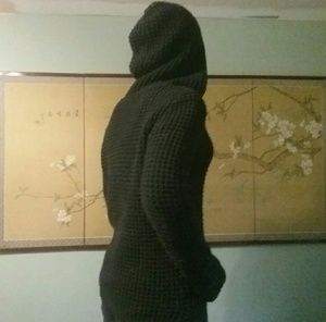 Forever21 Assassin jogger hoodie